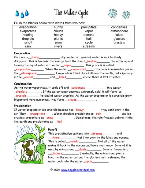 The Water Cycle Worksheet Answers - Worksheets For Home Learning