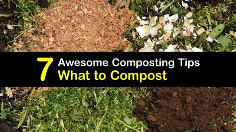 Brilliant Compost Materials List - Add Items to Your Composter