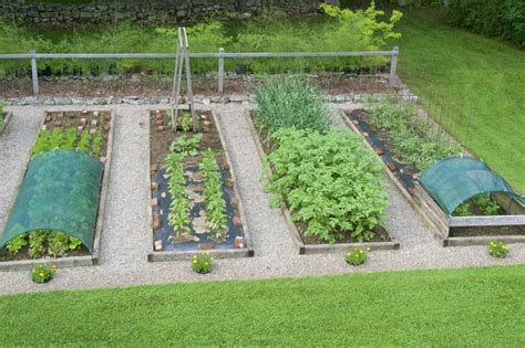 The Second Half | Vegetable garden raised beds, Vegetable garden for beginners, Vegetable garden ...