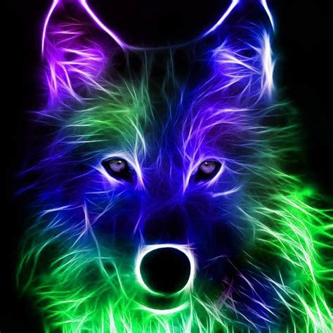 Neon Animal Wallpapers - Wallpaper Cave