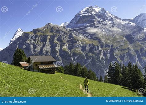 Traditional Alpine Village in Touristic Valley Lauterbrunnen, Switzerland Stock Image - Image of ...