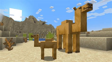 Minecraft snapshot 22w42a — get your hands on a camel early | The Irish Sun