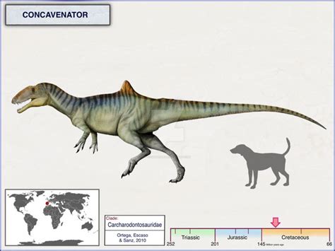 Concavenator by cisiopurple | Prehistoric animals, Prehistoric ...