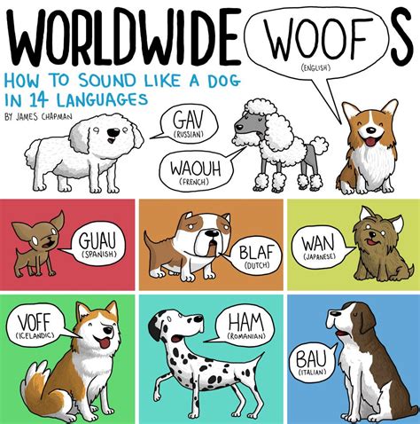 How Do Animals Sound In Different Languages? | Animal sounds, Dog sounds, James chapman