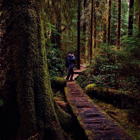 7 Hidden Hikes on Vancouver Island with @tomparkr - Explore BC | Super, Natural BC