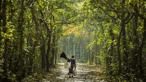 Tangail District: Visit, Explore, Stay and Eat (Guide 2024)