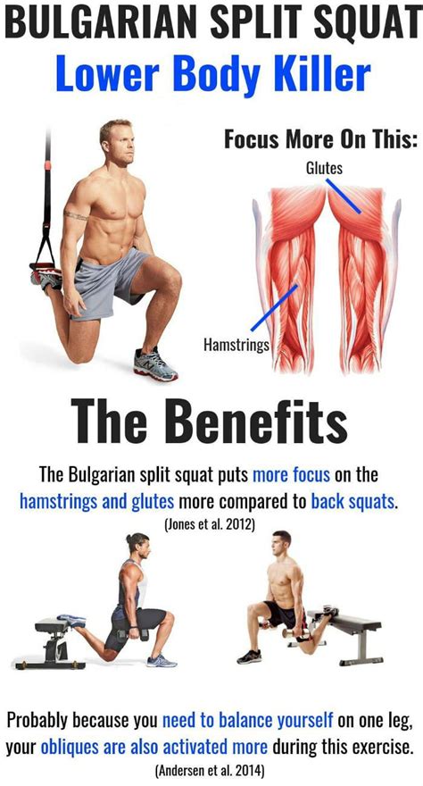 THE SCIENCE BEHIND SPLIT SQUATS | VIDEO & GUIDE