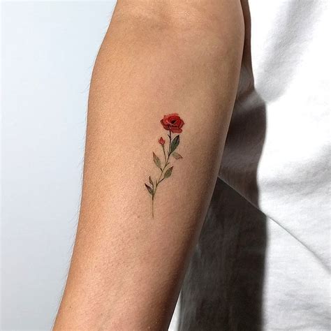 54+ Small Rose Tattoo On Back Of Arm, New Inspiraton!