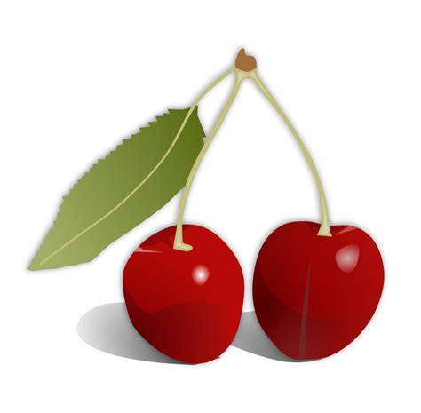 red cherry PNG image, free download