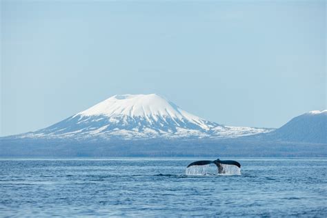 Sitka Nautical Tours