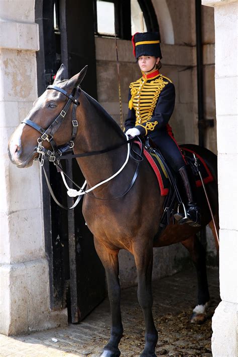 Oddities | Royal horse guards, Horse guards, Horse guards parade