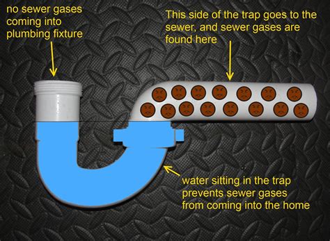 Plumbing Traps