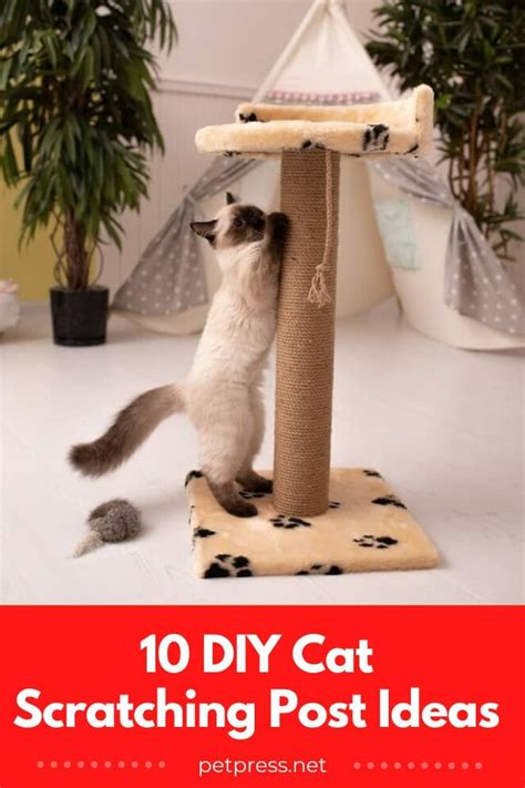 10 DIY Cat Scratching Post Ideas To Keep Your Cat Entertained