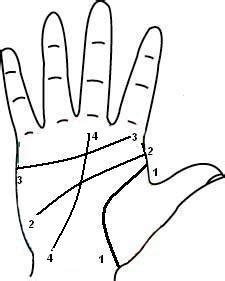 Indian Palmistry Symbols and Meanings - Vedic Paths