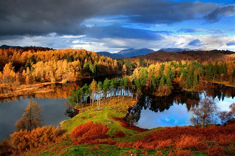 Malcolm Blenkey Photography: Tarn Hows Autumn 1