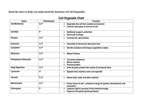 33 Biology Cell Organelles Worksheet - support worksheet