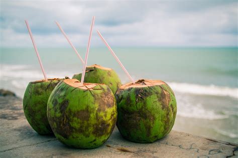 The Health Benefits of Coconut Water