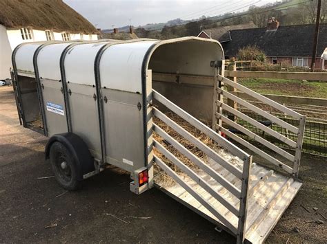 Ifor Williams P8G livestock trailer | in Crediton, Devon | Gumtree