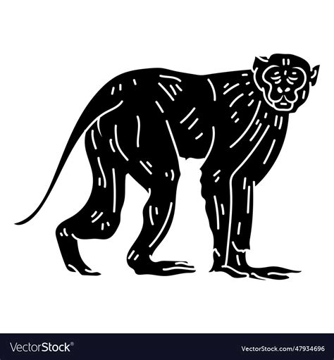 Capuchin monkey walking silhouette Royalty Free Vector Image