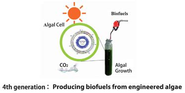 Metabolic engineering of algae for fourth generation biofuels ...