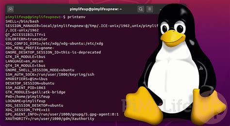 How to Set, List, and Use Environment Variables on Linux - Pi My Life Up