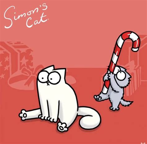 Simon's cat | Simons cat, Cats and kittens, Crazy cats