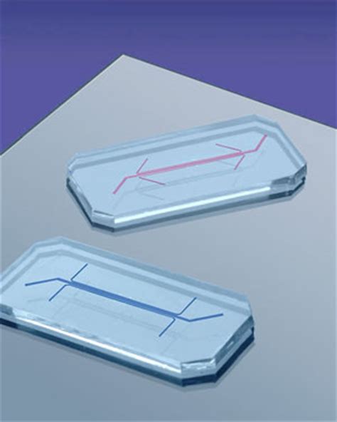 Living, breathing human lung-on-a-chip: A potential drug-testing ...