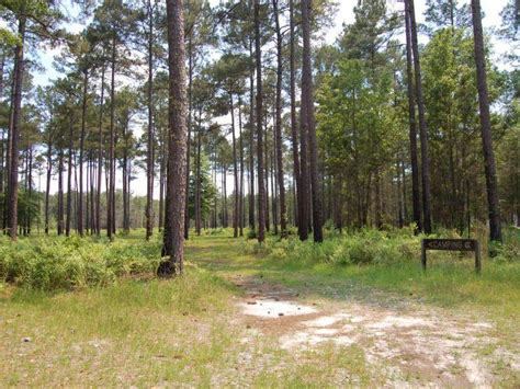 Horse Creek Wildlife Management Area | Official Georgia Tourism ...