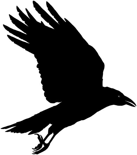 flying crow clipart 10 free Cliparts | Download images on Clipground 2024