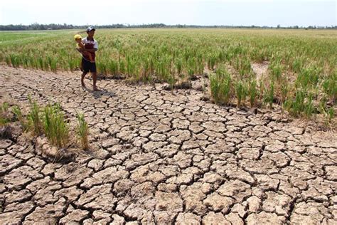 As Drought Continues, Mekong Climate Refugees Leave Home - Saigoneer