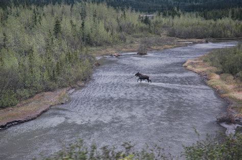 SingleSteps: Fort Yukon, Alaska, USA