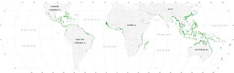 File:World map mangrove distribution.jpg - Wikimedia Commons