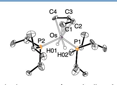 Reactions of an Osmium–Hexahydride Complex with 2-Butyne and 3-Hexyne and Their Performance in ...