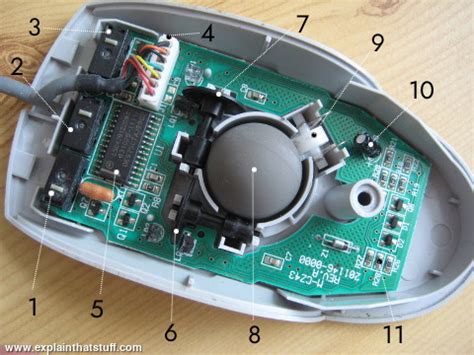 Parts of the Mouse - MOUSE