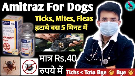 Amitraz For Dogs || डॉग में Ticks, Mites, Fleas का पक्का ईलाज 😱 || How to Use It ? Side Effects ...