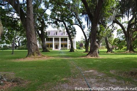 The Beautiful Gardens of Houmas House Plantation