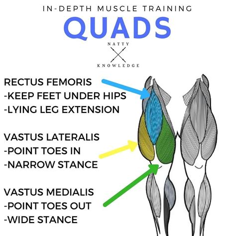 Can We Help You Shape Your Quads? Most Definitely, Use This Strong 5 ...