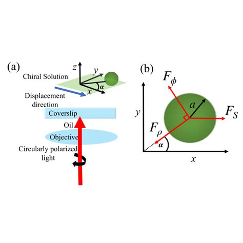 Torsion constant per unit power kφ/P as a function of the radius of a... | Download Scientific ...