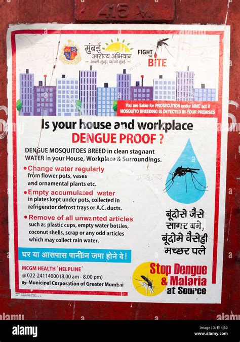 India, Mumbai, Health, Dengue Fever awareness poster, to make houses Stock Photo: 69558188 - Alamy