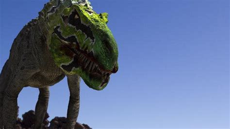 Saurosuchus | Dinosaur Revolution Wiki | FANDOM powered by Wikia