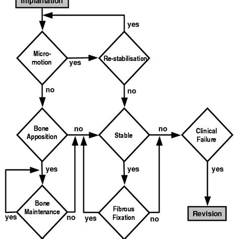 Process of osseointegration | Download Scientific Diagram