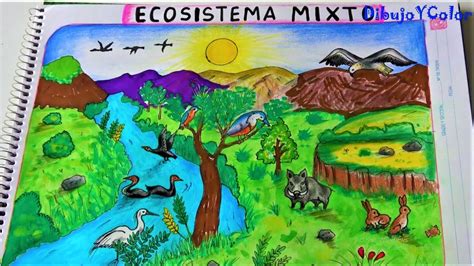 Como dibujar un ECOSISTEMA MIXTO/ ECOLOGIA/ DIBUJOYCOLOR. - YouTube