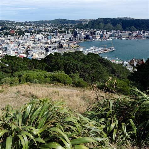 Wellington travel - Lonely Planet | New Zealand, Australia & Pacific