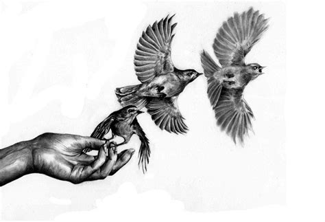 Birds Taking Flight by Kate Powell | Bird drawings, Drawings, Identity art