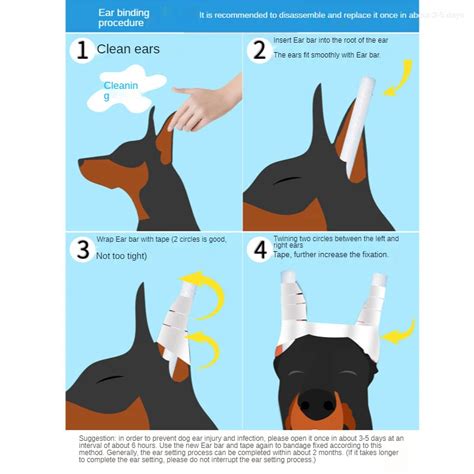 Doberman Ear Cropping Styles Chart | ubicaciondepersonas.cdmx.gob.mx