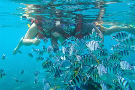 27 Fun Things To Do In Tioman Island (Especially For First-Time Travellers)