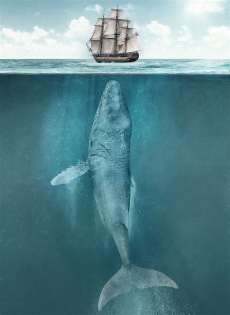 The HumpBack Whale | Daz 3D