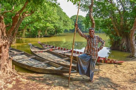 [2023] Sundarban Mangrove Forest - Beauty, Mystery, Dangers ...