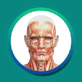 Anatomy World (anatomyworld) - Profile | Pinterest