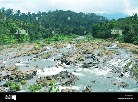 Periyar river, Idukki, Kerala Stock Photo - Alamy